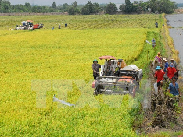 Hội thảo khoa học về phát triển bền vững vùng Tây Nam bộ ảnh 1