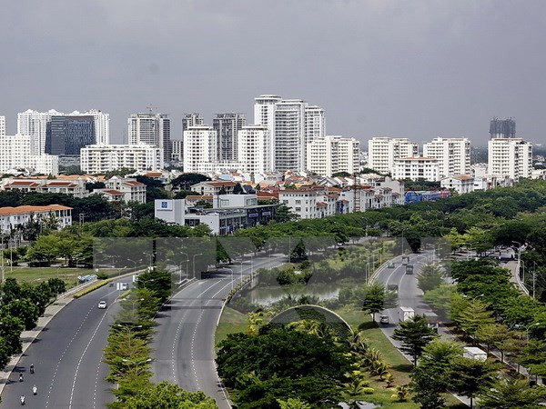 Thành phố Hồ Chí Minh sẽ không để xảy ra chuyện đốn hạ cây xanh ảnh 1