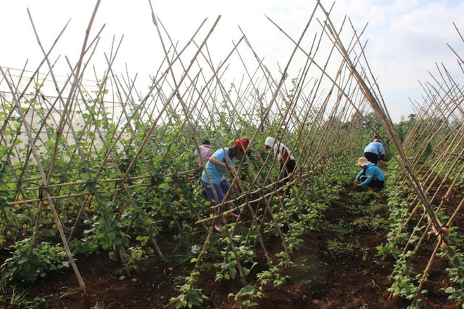 CPI tháng Hai tăng 1,52% và đạt mức cao nhất trong 8 năm qua ảnh 1