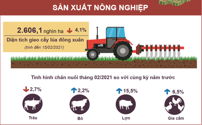 Chỉ số sản xuất toàn ngành công nghiệp tháng Hai giảm 21,1% ảnh 3