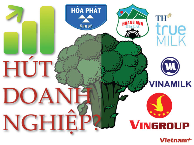 Bài 2: Bài toán nông nghiệp: Ai “dắt" nông dân nhỏ vào thị trường lớn? ảnh 1