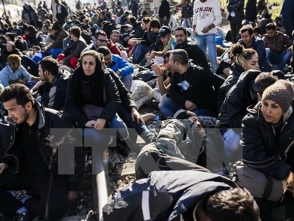 Gần 1,1 triệu người xin tị nạn tại Đức trong năm 2015 ảnh 1