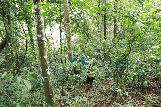 Quy hoạch lâm nghiệp bảo đảm thực hiện cam kết COP26 ảnh 2