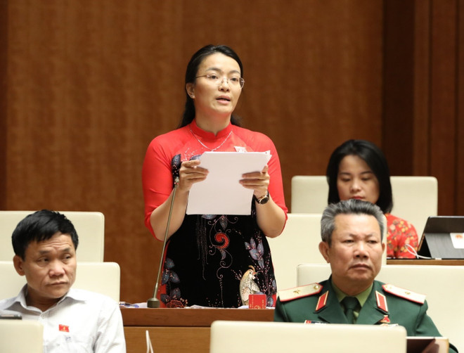 Phát triển kinh tế-xã hội vùng đồng bào dân tộc thiểu số và miền núi ảnh 2