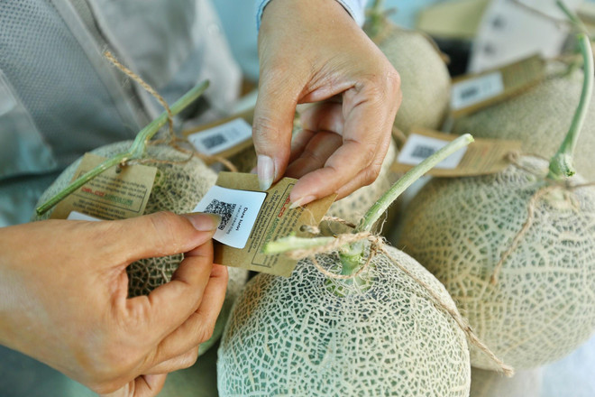 Ứng dụng công nghệ cao vào nông nghiệp để nâng cao tính cạnh tranh ảnh 1