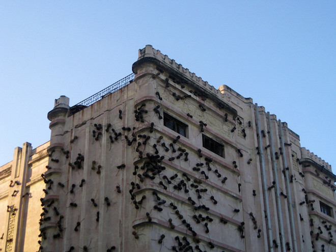 Cuba muốn lần đầu giới thiệu tác phẩm nghệ thuật của bảo tàng Mỹ ảnh 4