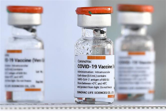 Nghiên cứu hiệu quả bảo vệ của 2 loại vaccine CoronaVac và VeroCell ảnh 1