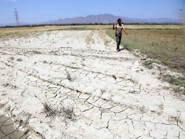 Nghiên cứu tác động của thủy điện trên sông Mekong còn phiến diện ảnh 1