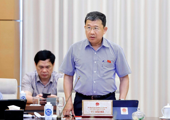 Chủ nhiệm Ủy ban Đối ngoại của Quốc hội Vũ Hải Hà phát biểu. (Ảnh: Doãn Tấn/TTXVN) ttxvn_vu hai ha.jpg