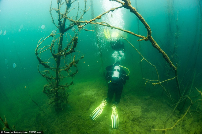 Khám phá nhà tù Rummu - Điểm đến ưa thích của thợ lặn thế giới ảnh 7