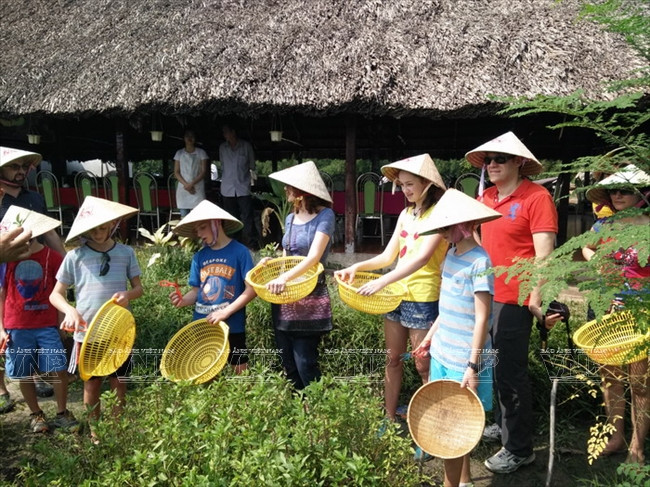 Du khách Tây thích thú "hóa thân" thành nông dân miệt vườn Nam Bộ ảnh 4