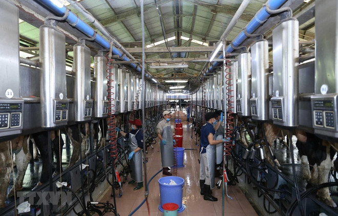 Nhiều dư địa để Việt Nam tiếp tục phát triển ngành hàng sữa ảnh 1