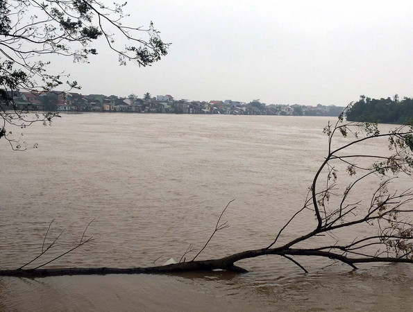 Mưa lũ miền Trung: 10 người chết, hoa màu và tài sản thiệt hại nặng ảnh 1