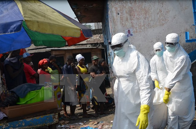 Liberia: Trường học mở cửa lại sau 6 tháng cách ly dịch Ebola ảnh 1