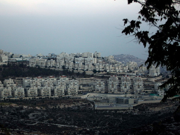 Palestine, Jordan đề nghị họp khẩn về việc Israel mở rộng nhà định cư ảnh 1