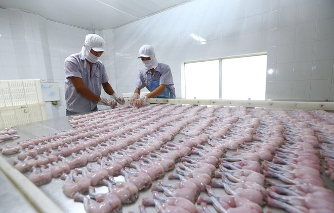 Ủy ban châu Âu: EVFTA chính thức có hiệu lực từ ngày 1/8 ảnh 1