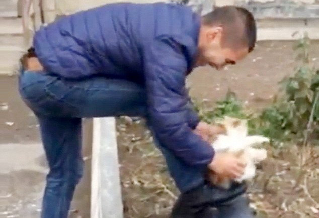 [Video] Chàng trai gây phẫn nộ khi dùng mèo để lau giầy ảnh 1