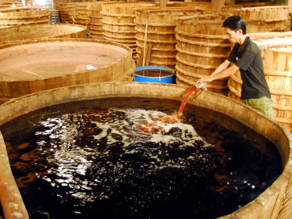 Nghề sản xuất nước mắm truyền thống Phú Quốc khởi sắc trở lại ảnh 1