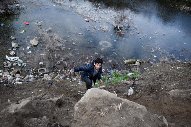 Các thủy vực nước ngọt ở châu Âu đang đối mặt nguy cơ nghiêm trọng ảnh 1