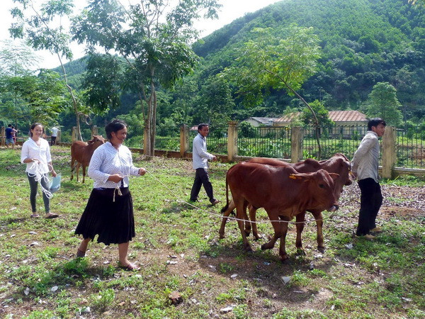 Chăm lo cho người nghèo cần có trọng tâm, trọng điểm ảnh 1