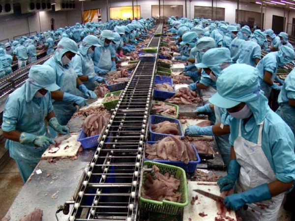 “Start-up Việt có thể ‘nối dài tay’ tới Paris qua các tập đoàn Pháp" ảnh 1