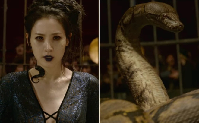 Warner Bros tung trailer cuối cùng cho “bom tấn” Fantastic Beasts ảnh 1