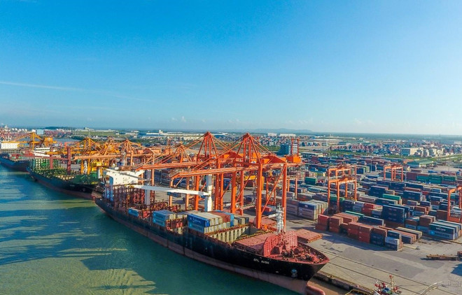 Xếp dỡ hàng hóa container tại một cảng biển Việt Nam. (Ảnh: PV/Vietnam+) Tập đoàn Ấn Độ xúc tiến rót vốn 2 tỷ USD đầu tư cảng biển Việt Nam ảnh 3