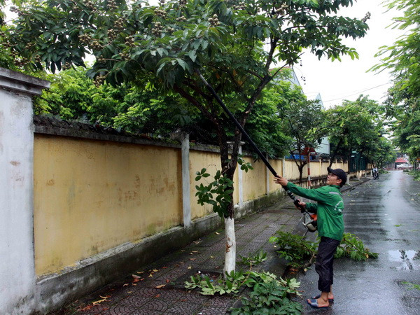 Đảm bảo an toàn đê biển vì bão số 4 có hoàn lưu gây mưa rất lớn ảnh 1