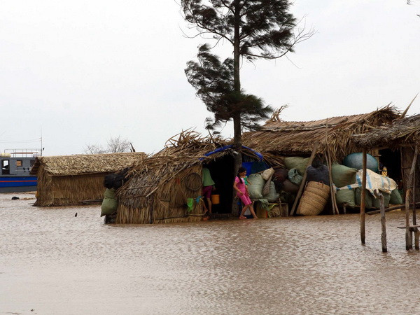 Giáo dục đóng vai trò quan trọng trong bảo vệ môi trường ảnh 1