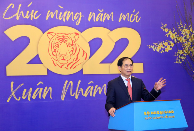 Bộ trưởng Ngoại giao Bùi Thanh Sơn gặp gỡ báo chí đầu năm ảnh 1