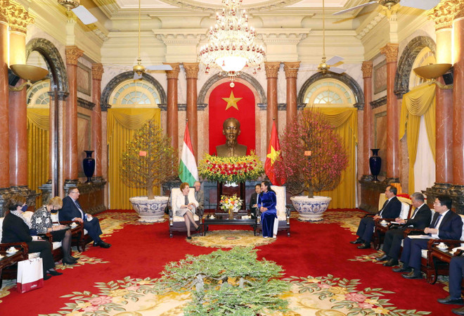 Phó Chủ tịch nước tiếp Phó Chủ tịch thứ nhất Quốc hội Hungary ảnh 2