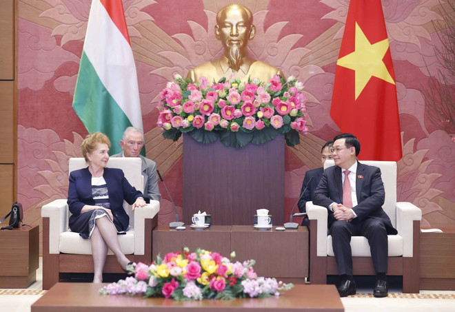 Phát triển quan hệ hợp tác Việt Nam-Hungary đi vào thực chất, hiệu quả ảnh 1