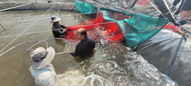 BR-VT phát triển các vùng sản xuất nông nghiệp ứng dụng công nghệ cao ảnh 2