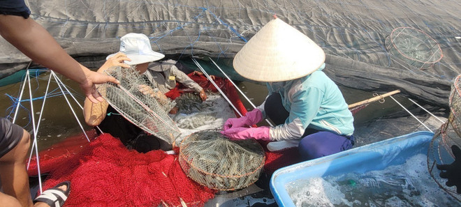 BR-VT phát triển các vùng sản xuất nông nghiệp ứng dụng công nghệ cao ảnh 1