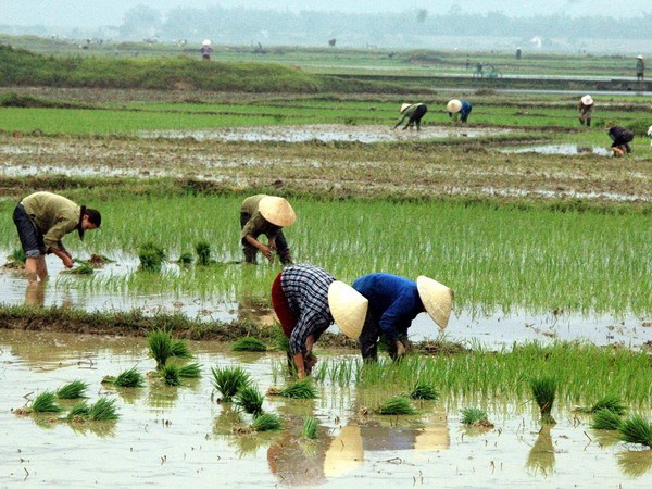 Nam Bộ nắng nóng kéo dài, Bắc Bộ thời tiết ấm lên ảnh 1