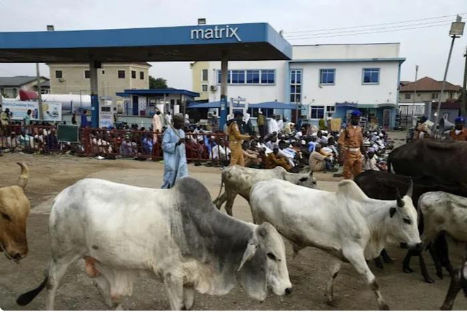 Nigeria: Các tay súng tấn công 5 ngôi làng, xả súng sát hại 35 người ảnh 1