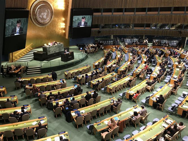 Việt Nam hoan nghênh việc LHQ kêu gọi dỡ bỏ lệnh cấm vận Cuba ảnh 1