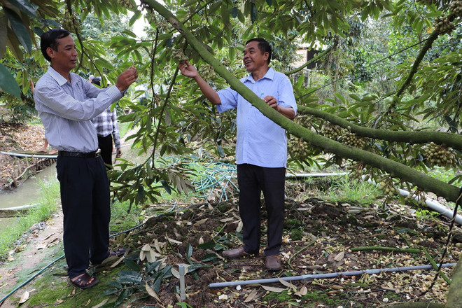 Hình thành chuỗi giá trị nông sản dựa trên lợi thế từng vùng ảnh 1