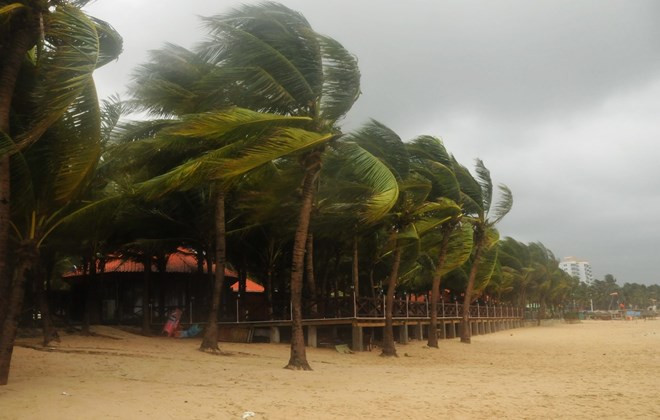 Các tỉnh, thành phố ven biển và Bắc Bộ chủ động ứng phó với bão số 4 ảnh 1