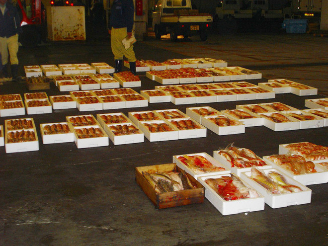 Nhật Bản muốn đẩy mạnh xuất khẩu thủy sản vào Việt Nam ảnh 1