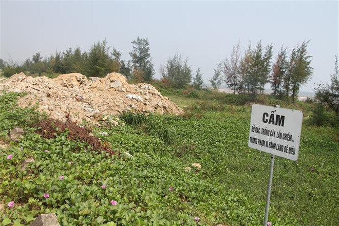 Hà Tĩnh: Rác thải bủa vây tuyến kè biển dài 8km qua xã Thịnh Lộc ảnh 1