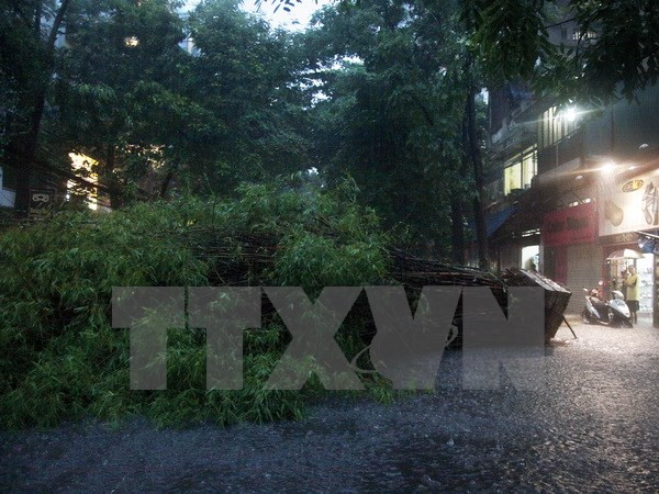 Gió xoáy bẻ gãy nhiều cây xanh ở Lào Cai, Sa Pa chuyển rét sâu ảnh 1