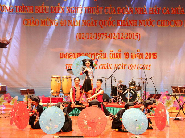 Thúc đẩy quan hệ Việt-Lào phát triển toàn diện và hiệu quả ảnh 1