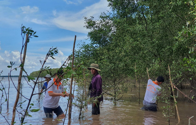 Kiến tạo 6 nhóm giải pháp ‘phát triển xanh’ bền vững vùng Đông Nam Bộ ảnh 1