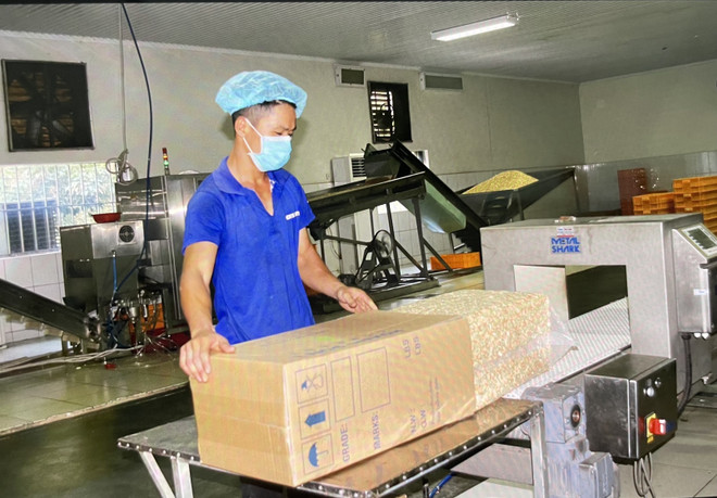 Đóng gói hạt điều xuất khẩu tại Công ty trách nhiệm hữu hạn Hoàng Sơn 1, Bình Phước. (Ảnh: Hồng Nhung/TTXVN) TTXVN_2302xuatkhaudieuBinhphuoc3.jpg.jpeg