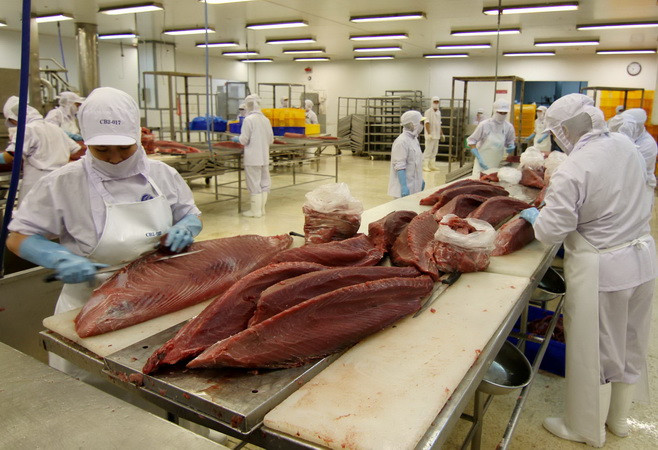 Năm 2016, xuất khẩu thủy sản vẫn tăng trưởng dù nhiều khó khăn ảnh 3