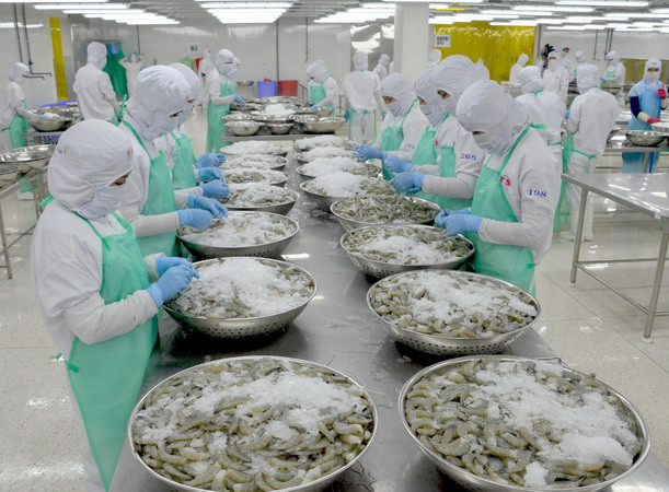 Năm 2016, xuất khẩu thủy sản vẫn tăng trưởng dù nhiều khó khăn ảnh 1