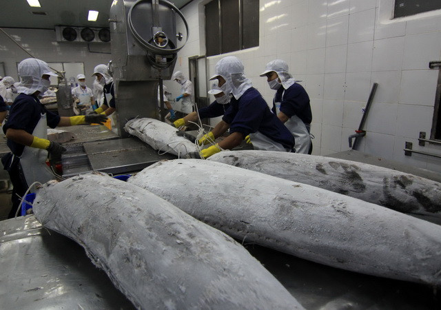 Năm 2016, xuất khẩu thủy sản vẫn tăng trưởng dù nhiều khó khăn ảnh 2