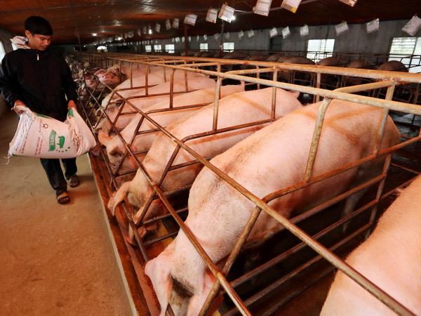 Canada tài trợ Việt Nam 15 triệu đôla CAD đẩy mạnh an toàn thực phẩm ảnh 1