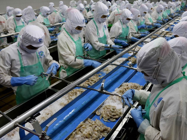 Việt Nam-Brunei đặt mục tiêu kim ngạch song phương đạt 500 triệu USD ảnh 1